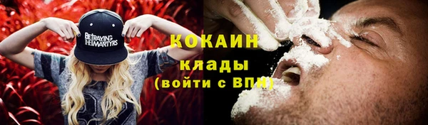 мдпв Кинешма
