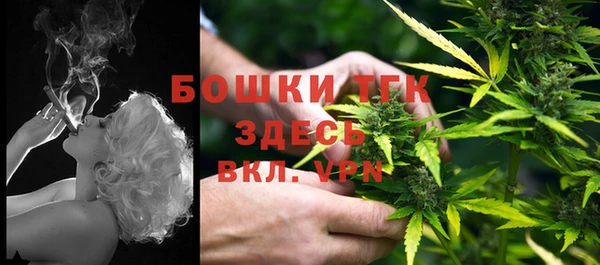 мдпв Кинешма