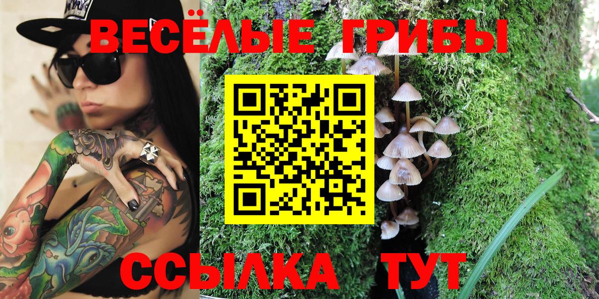 магазин продажи   Галлюциногенные грибы Magic Shrooms  Вход с VPN  Кингисепп 